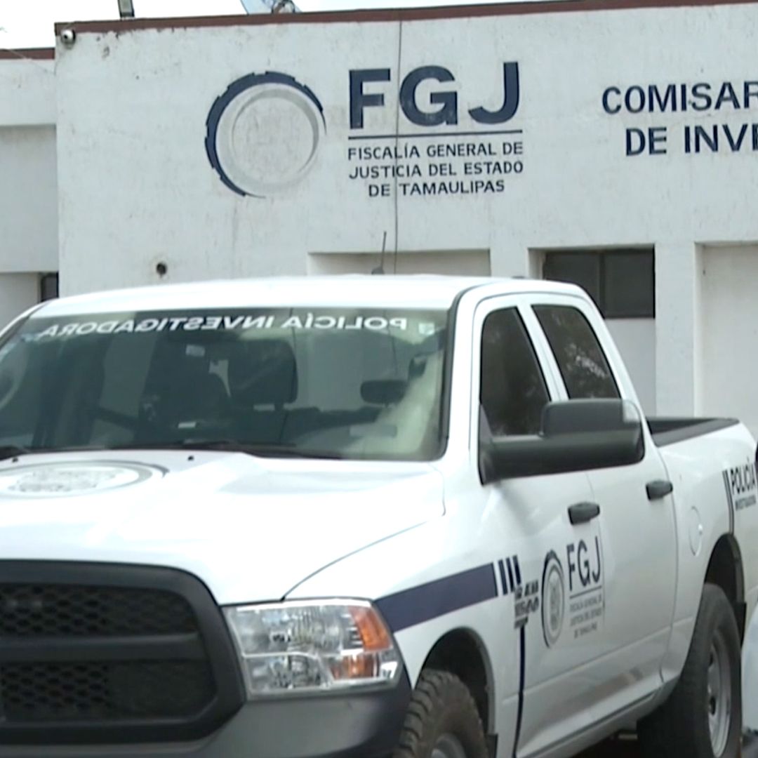 Continúa Juicio por Caso de Maltrato a Mapache en Matamoros, Tamaulipas